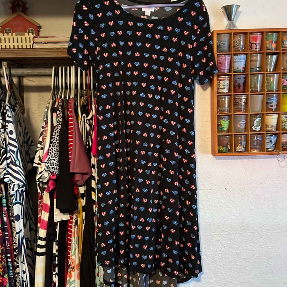 Small lularoe Carly